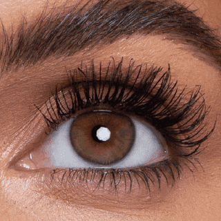 The Secret To Long, Curled Eyelashes - LiLash Beauty