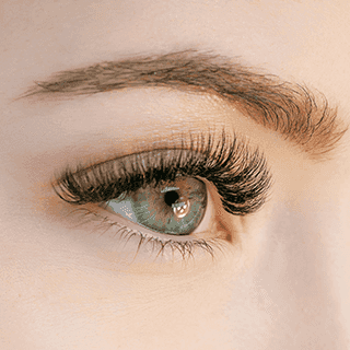 What Is It About Eyelashes? - LiLash Beauty